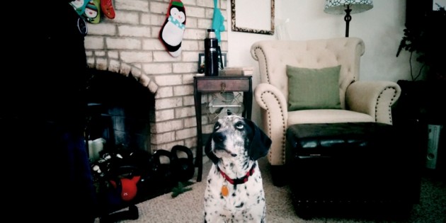 Rosie Update Rosie Update